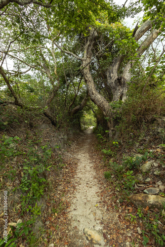 caminho  trilha na regi  o da Serra do Cip    cidade de Santana do Riacho  Estado de Minas Gerais  Brasil