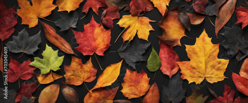 Vibrant Leaves Against a Dark Concrete Background