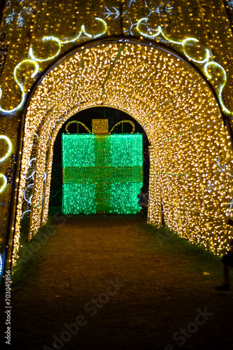 christmas light display in the Hunter Valley Gardens