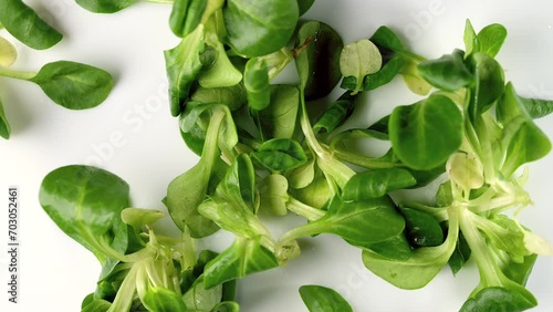 Fresh green Rapunzel Salad on white background