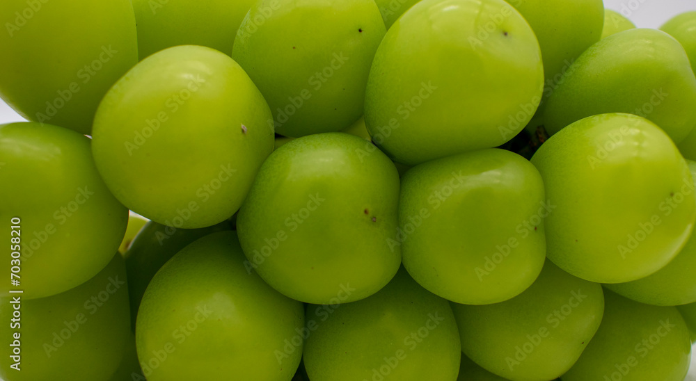 Cluster of ripe shine muscat large green korean grapes Cluster of ripe shine muscat large green korean grapes