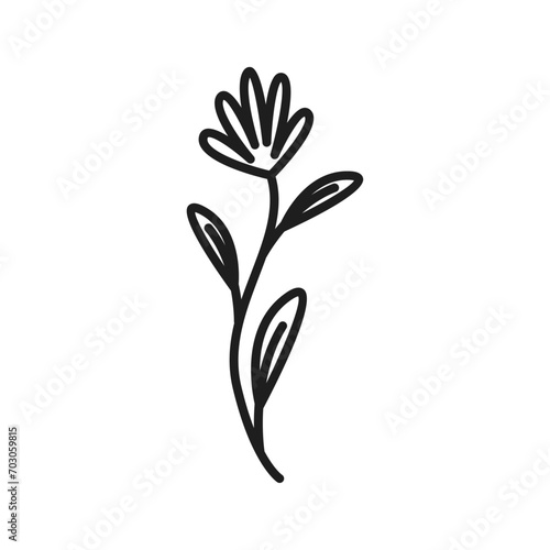 Vector botanical leaf doodle wildflower line art