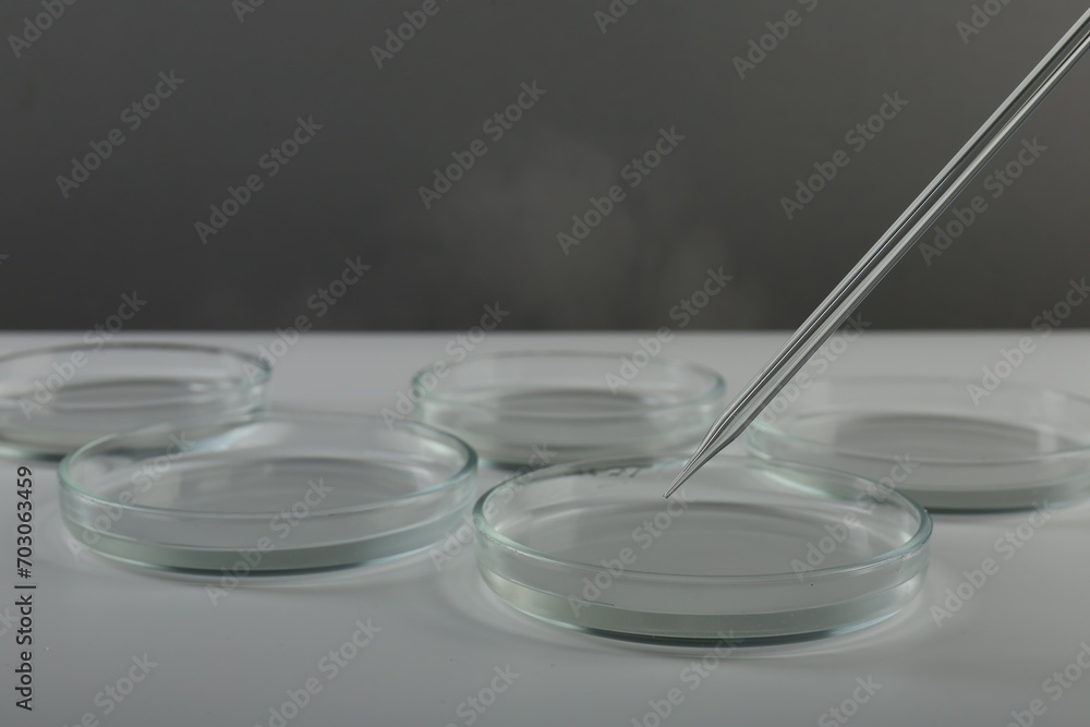 Pipette over petri dish on light table against grey background Pipette over petri dish on light table against grey background