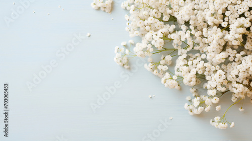 かすみ草の白い花のフレーム、余白・コピースペースのある背景