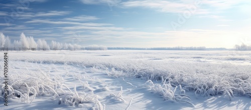 Winter field with an icy white surface.