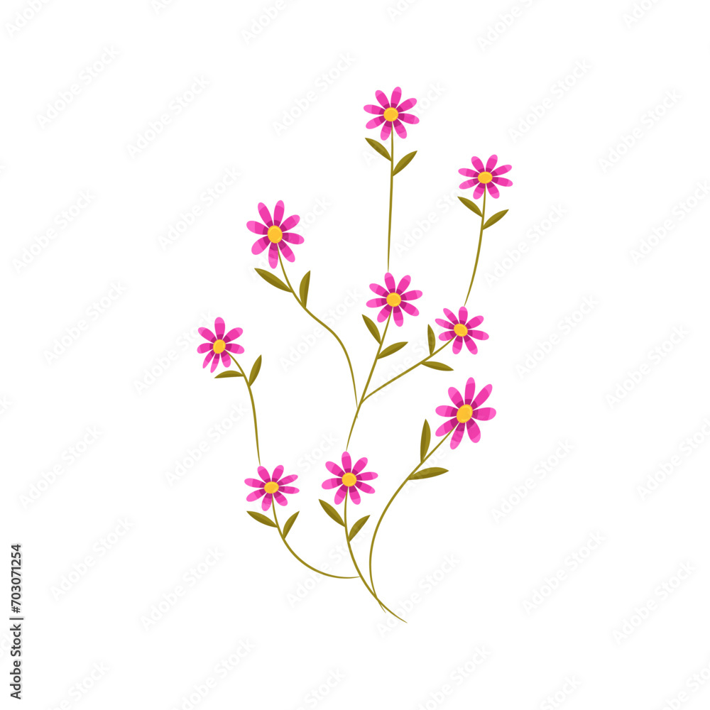 Vector hand drawn spring flower on white background