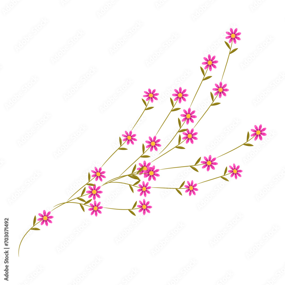 Vector realistic wildflower on white background