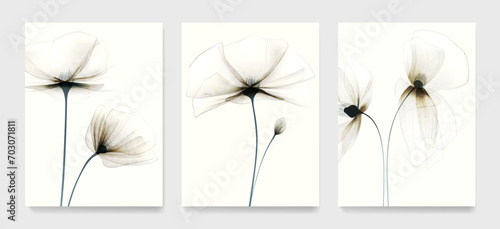 Floral art background with transparent poppy flowers in watercolor style. Botanical set of posters for decoration, print, textiles, packaging, wallpaper, interior design.