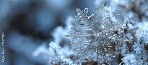 Snowflake close-up during blizzard. © TheWaterMeloonProjec