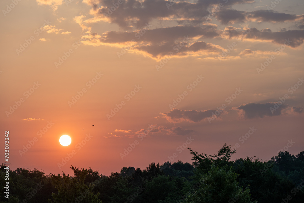 A breathtaking sunrise over the trees as birds gracefully soar towards the emerging sun. A breathtaking sunrise over the trees as birds gracefully soar towards the emerging sun.