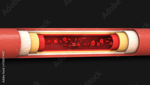 Red blood cells circulate inside an artery