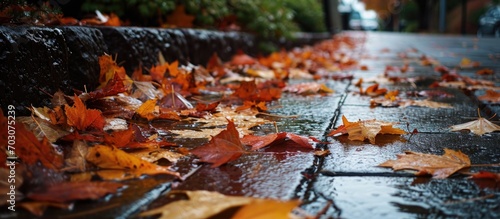 Autumn rain starts, leaves fall.