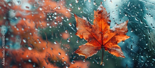 Autumn backdrop with an orange maple leaf on a wet glass. Abstract rain droplets on the surface symbolize the fall season. Space for copying.