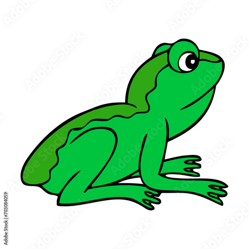 frog vector illustration