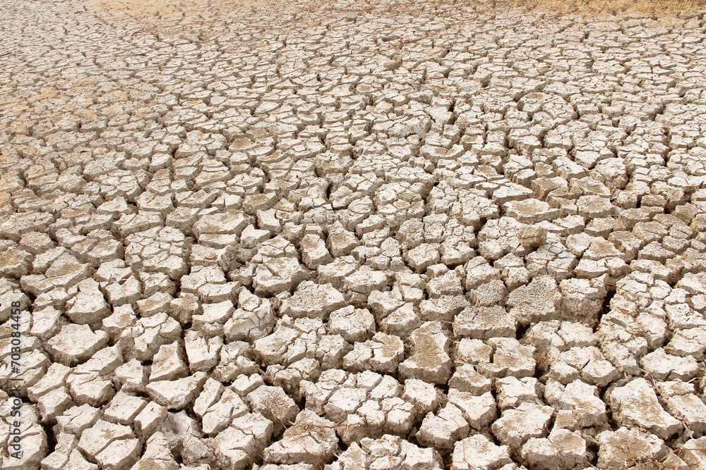 Cracked farm land brown texture background Cracked farm land brown texture background