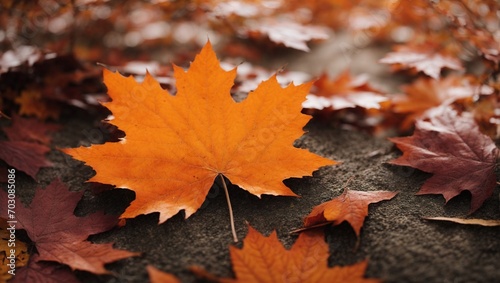 Maple border background in orange autumn