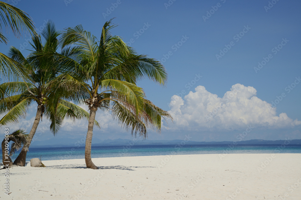 Beautiful white sand beach with palm trees on a sunny, hot, and clear day. Beautiful white sand beach with palm trees on a sunny, hot, and clear day.
