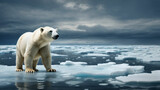 Capture the Impact of Global Warming on Polar BearsCreate that symbolizes the struggle of polar bears in the face of melting ice caps