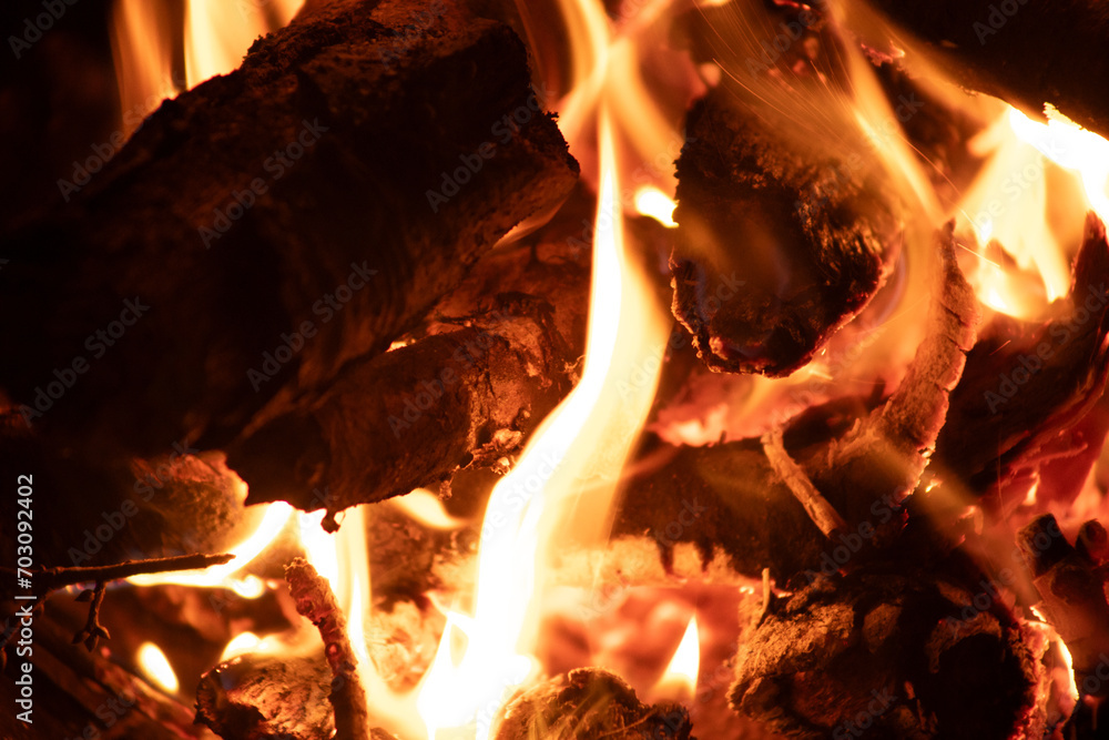 Fototapeta premium Campfire closeup