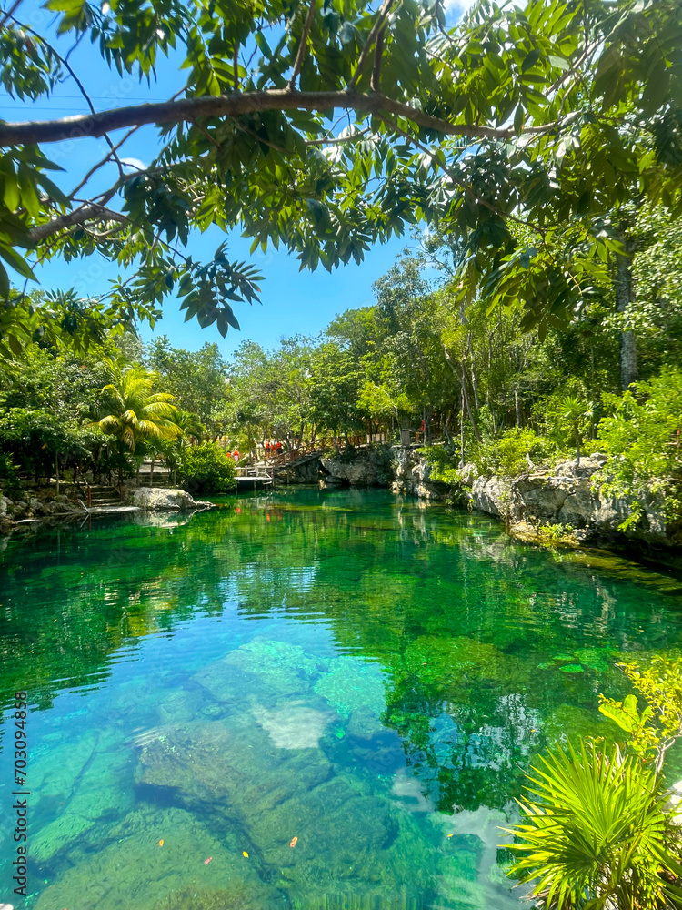 Obraz premium river in the forest