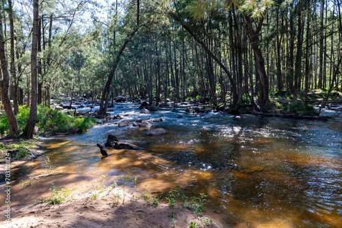 Photograph of the Coxs River flowing through a lush forest in the Blue Mountains in regional Australia