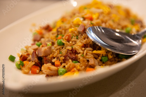 House Special Fried Rice photo
