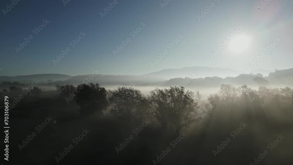 Bright sun illuminating gloomy forest surrounded by thick fog, pan left Bright sun illuminating gloomy forest surrounded by thick fog, pan left