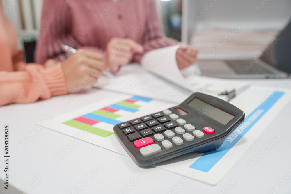 two individuals are engaged in accounting work. One person is wearing a pink sweater, and they both are reviewing financial charts and graphs, likely for a small business. two individuals are engaged in accounting work. One person is wearing a pink sweater, and they both are reviewing financial charts and graphs, likely for a small business.
