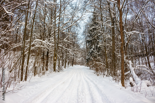 Winter snowy road through the forest with wheel tracks © PhotoChur
