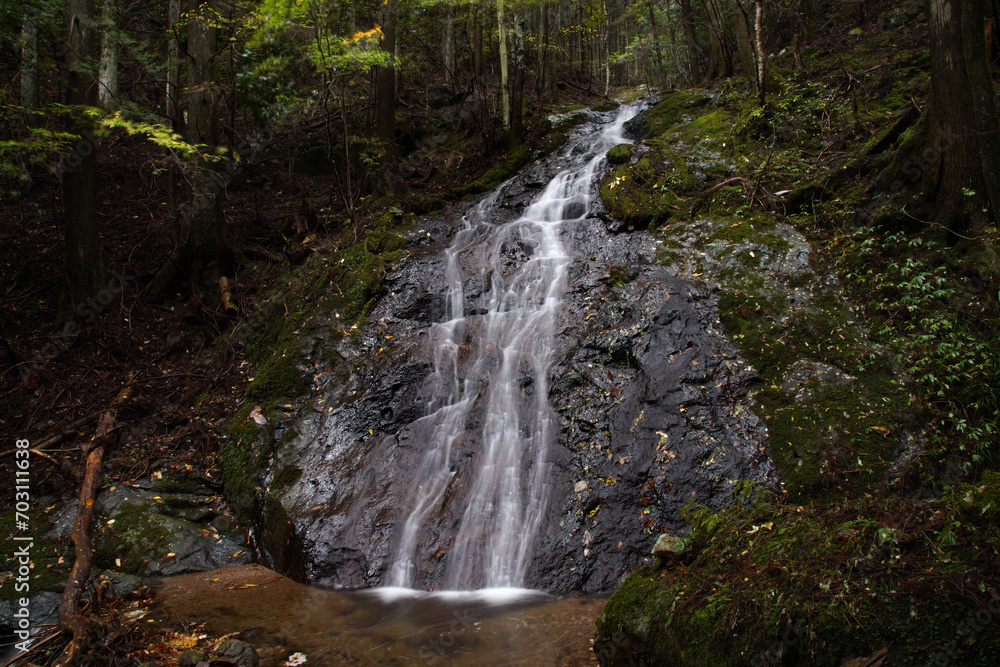 Fototapeta premium 大平滝 愛知県北設楽郡