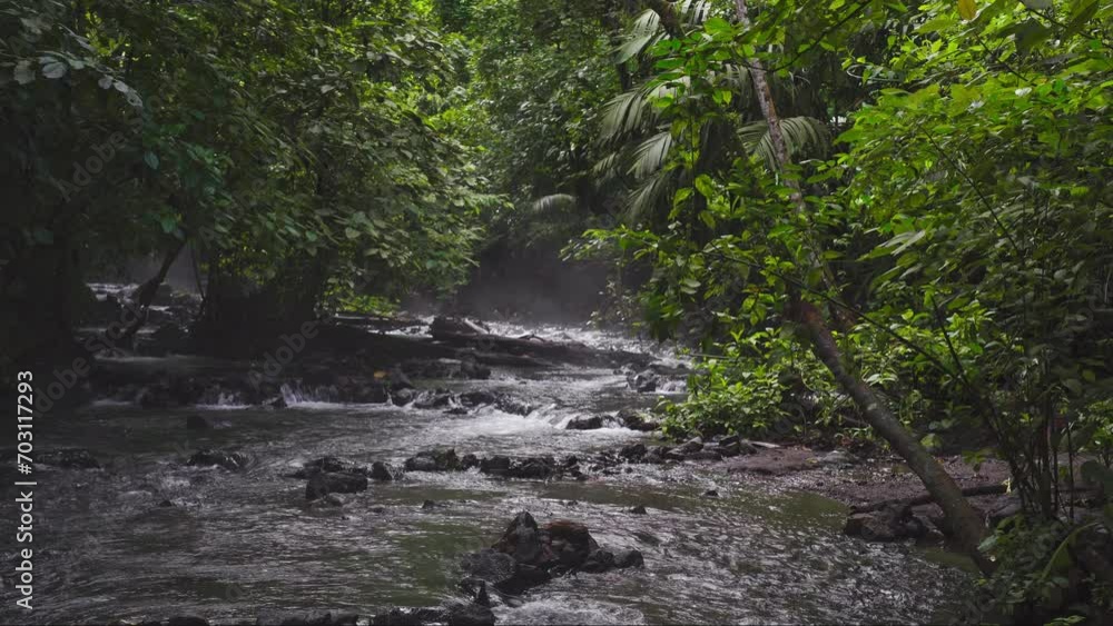 Costa Rica junte rain forest river natural beauty cinematic look 4k Costa Rica junte rain forest river natural beauty cinematic look 4k