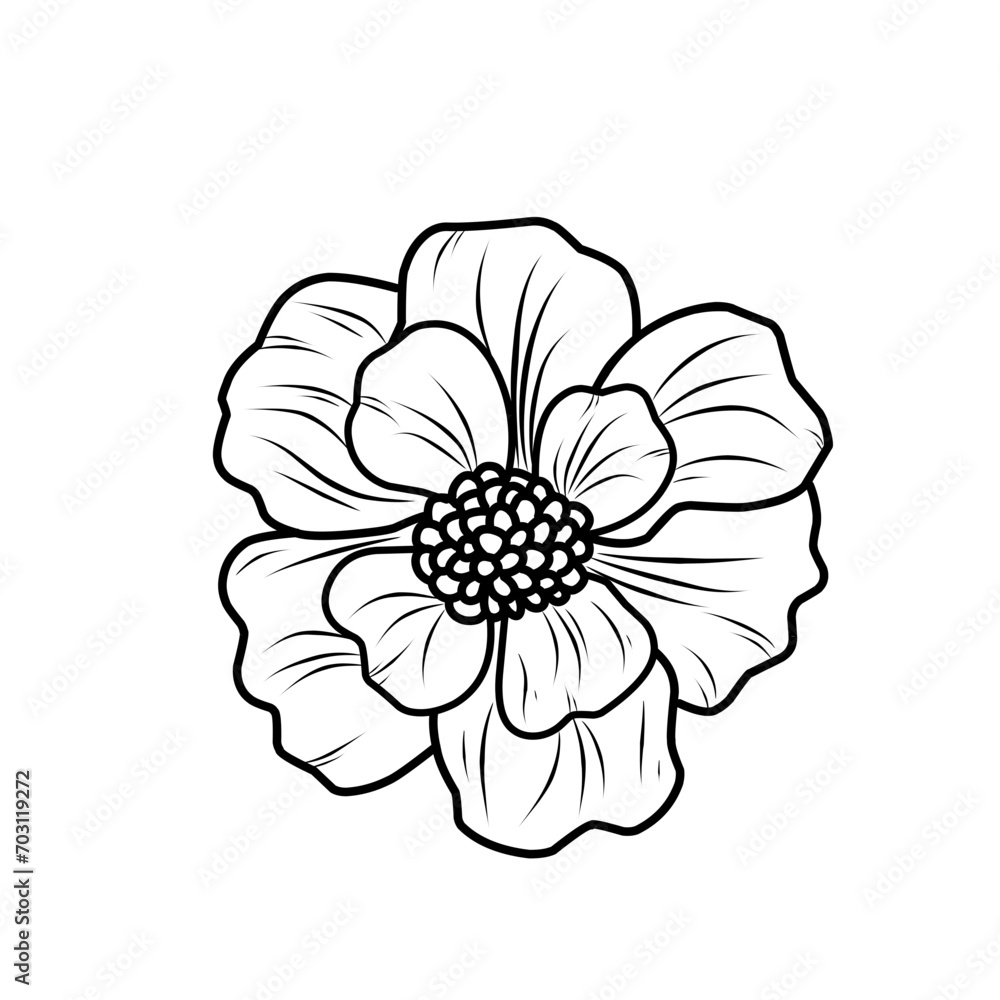 white dahlia flower white dahlia flower