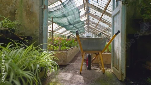 Industrial hothouse with greens, flowers and plants in closed ground. photo