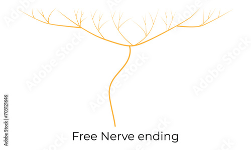 Free Nerve Ending Science Design Vector Illustration Diagram