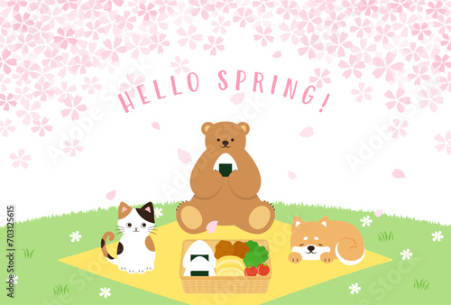 spring vector background with a bento box  cat  bear and dog having a Cherry blossom viewing party on a green field for banners  cards  flyers  social media wallpapers  etc.