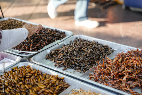 Fried insects (locust, worm, cricket, pupa, and giant waterbug) as street food on a vendor stall, Thailand. photo