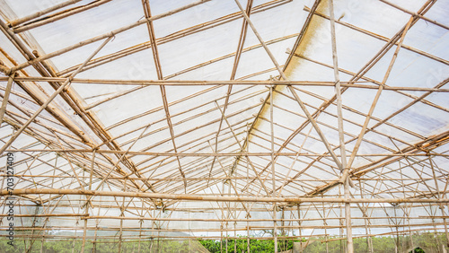 Small bamboo sticks are used by the people of Lam Dong Vietnam to build greenhouses to grow vegetables 