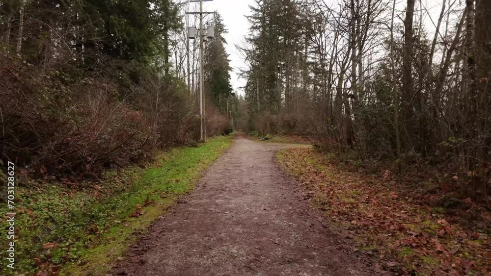 Scenic Walking Trail, Trees and Leaves. Winter Season, Cloudy Day. Burnaby, Vancouver, British Columbia Canada. Scenic Walking Trail, Trees and Leaves. Winter Season, Cloudy Day. Burnaby, Vancouver, British Columbia Canada.