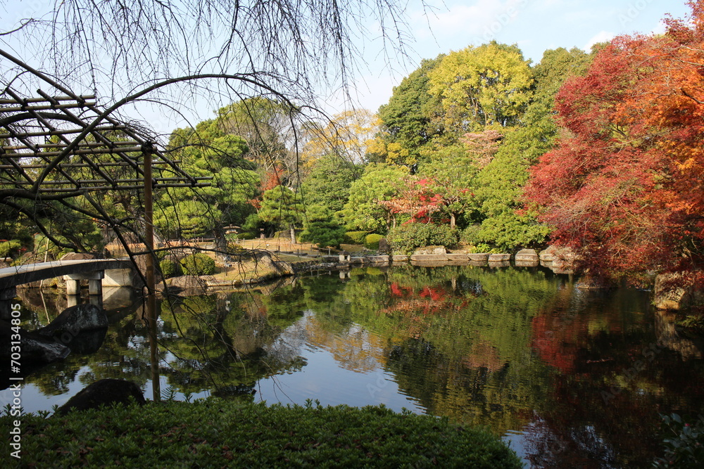 Autumn leaves and pond in the Garden of the Lord's Residence in Koko-en Garden, Himeji, Japan