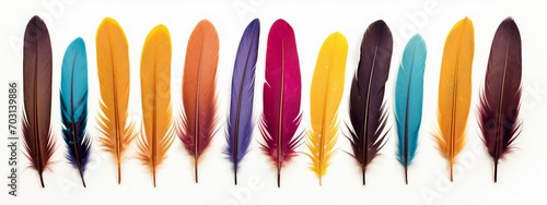 set of colorful feathers © Digital Waves