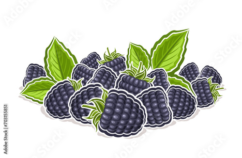 Vector logo for Blackberry, decorative horizontal poster with outline illustration of ripe blackberry composition with green sprigs, cartoon design fruity print with blackberries on white background photo