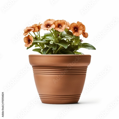 Flower pot isolated on white background. Clipping path included.