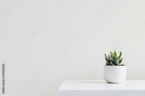 Minimalistischer Arbeitsplatz , Grüne Topfpflanze, Natürliche Ruhe photo