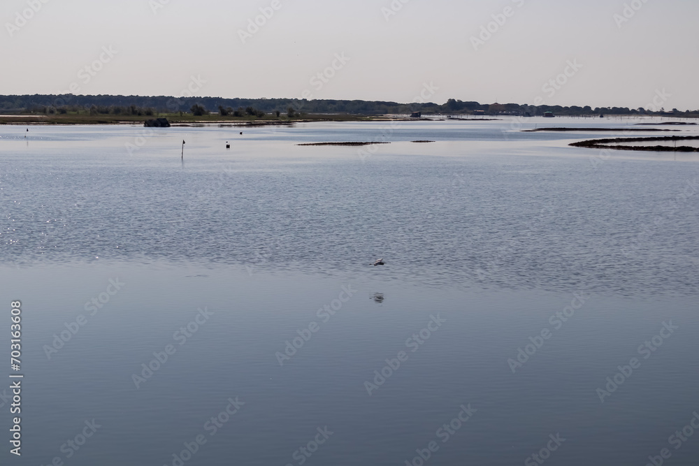 Scenic view of Parco del Delta del Po in Veneto, Italy. Untouched wetlands and nature in Po Delta. Raw wilderness on Via delle Valli Rovigo Province. Large lake in serene unspoiled natural habitat Scenic view of Parco del Delta del Po in Veneto, Italy. Untouched wetlands and nature in Po Delta. Raw wilderness on Via delle Valli Rovigo Province. Large lake in serene unspoiled natural habitat