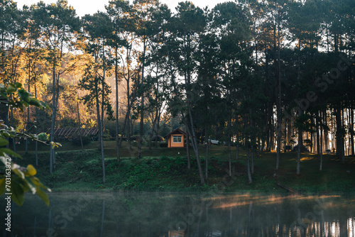 Reservoir and pine trees in the morning in the park