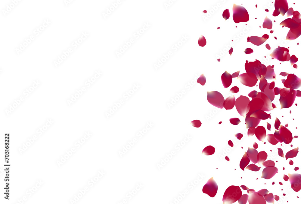 Purple Blossom Tender Vector White Background.