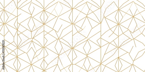 Golden Geometric Lines