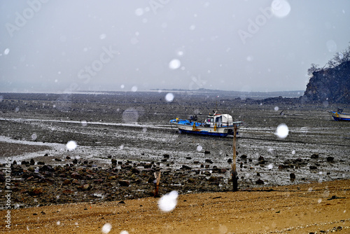 Wallpaper Mural snow on the beach, Tidal flats in the West Sea, South Korea Torontodigital.ca