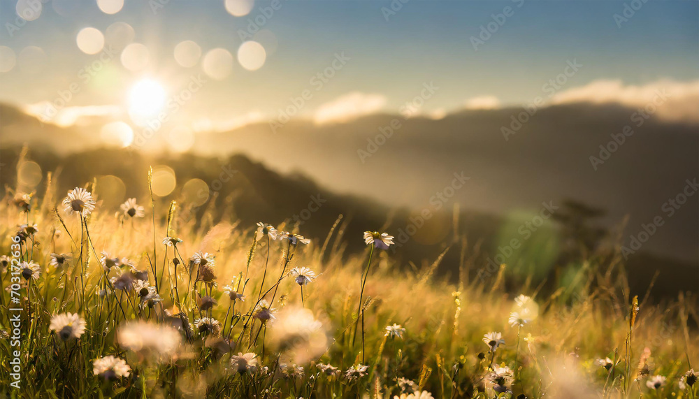 Stunning sunrise over the mountains, refreshing meadow landscape bathed in sunrays and golden bokeh