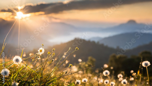 Stunning sunrise over the mountains, refreshing meadow landscape bathed in sunrays and golden bokeh photo